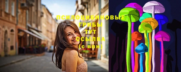 первитин Абинск