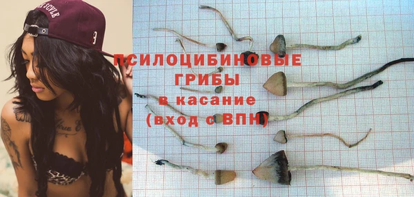 2c-b Алексин