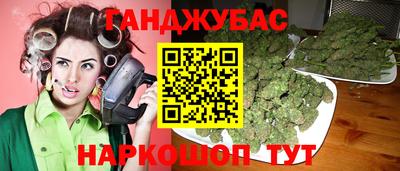 шишки Владимир
