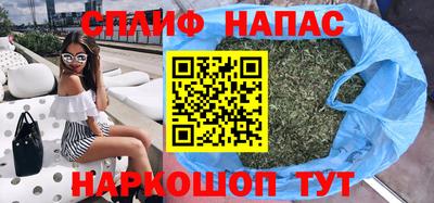 шишки Владимир