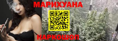 шишки Владимир