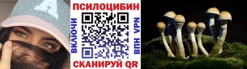 KRAKEN онион  Челябинск  Псилоцибиновые грибы Magic Shrooms 