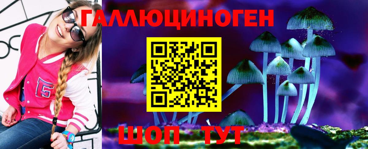 Галлюциногенные грибы Psilocybine cubensis Челябинск